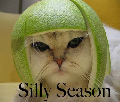 silly-season