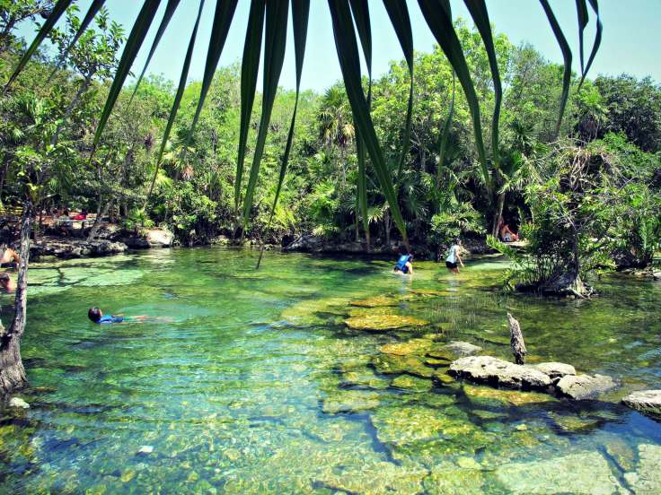 cenote-azul-6