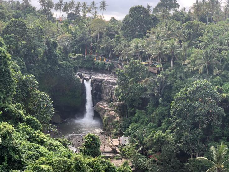 WhatsApp Image 2019-05-27 at 07.32.56